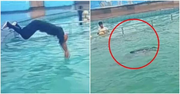 印度男子穆巴里克在上週六(5日)於一處農莊別墅舉辦的泳池派對中表演跳水,卻在跳進池中僅僅10秒左右,便因為不明原因溺水身亡。(圖/翻攝Bhaskar English)