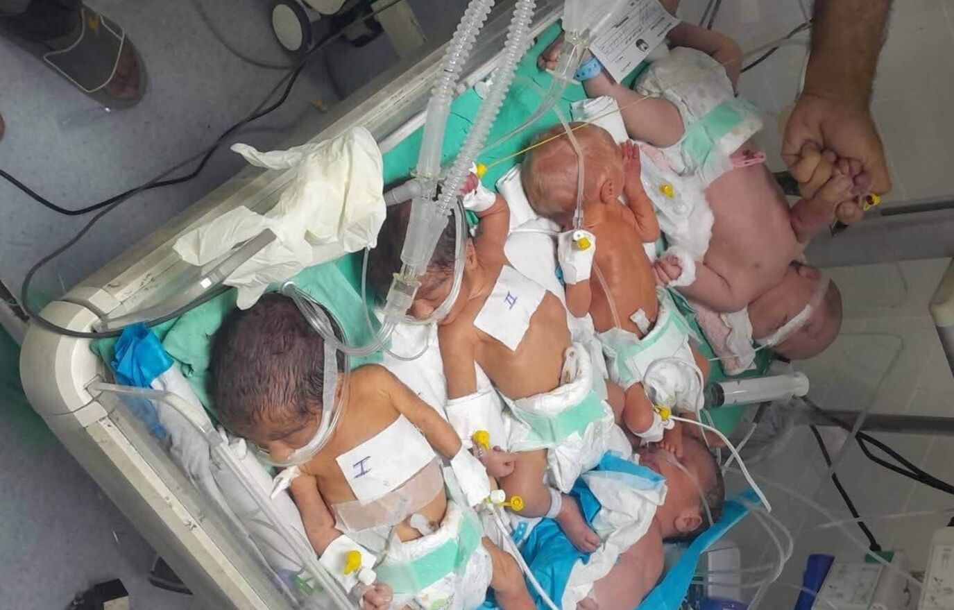 ▲▼慘!加薩「5早產兒」擠同一個保溫箱。(圖/翻攝自X/fnaim65)