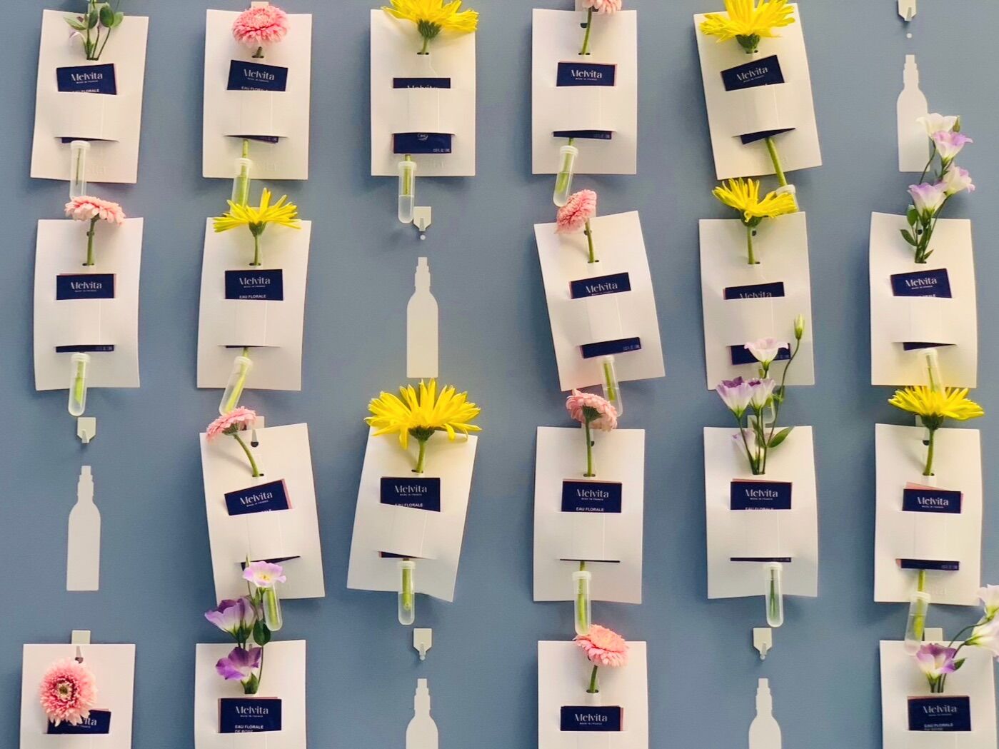 ▲▼美妝優惠。(圖/品牌提供)