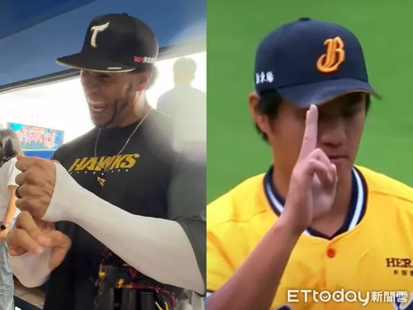 ▲▼ 魔鷹 。(圖/記者王真魚攝)