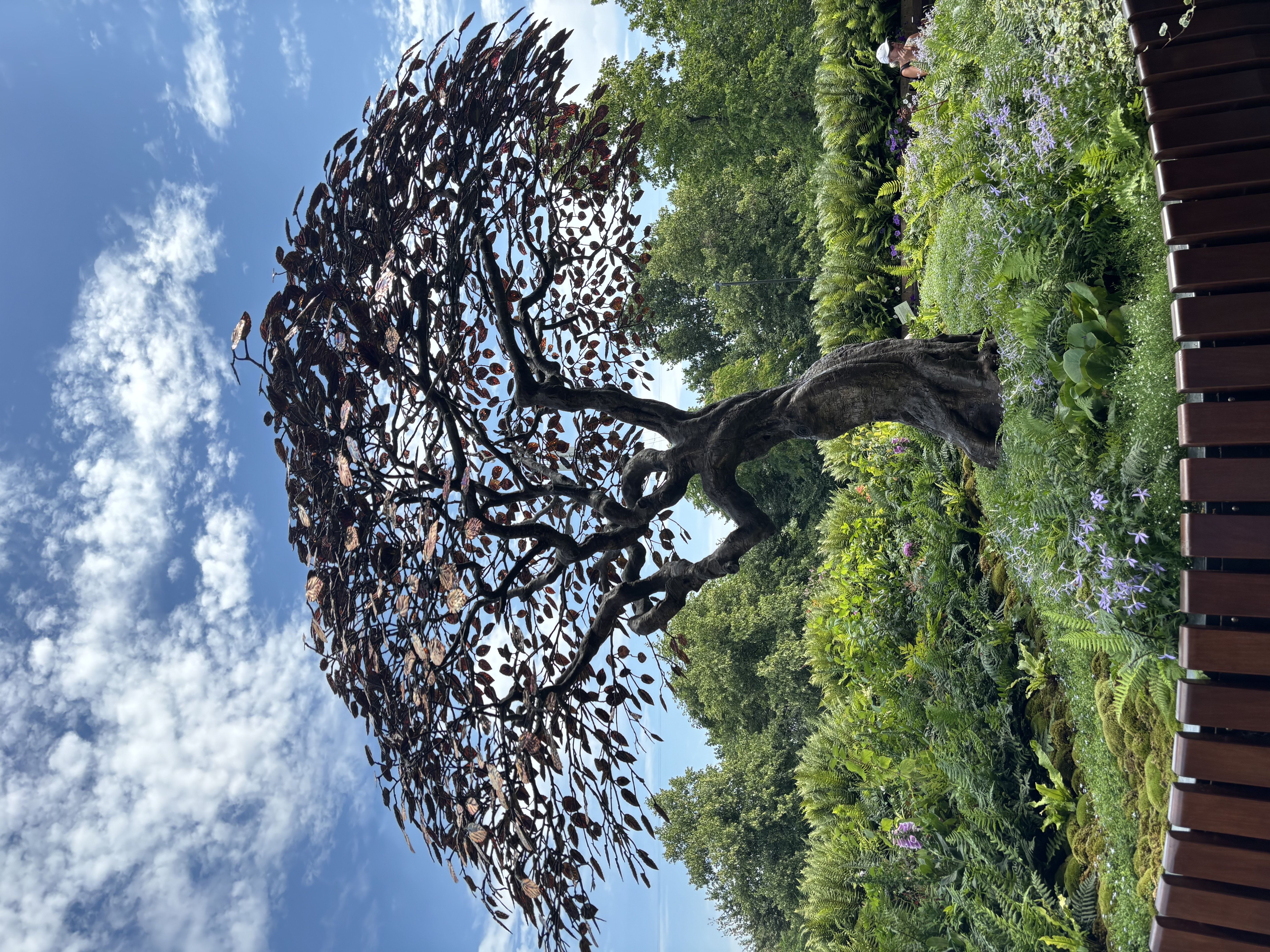 ▲▼Wimbledon 。(圖/記者陳雅韻攝)