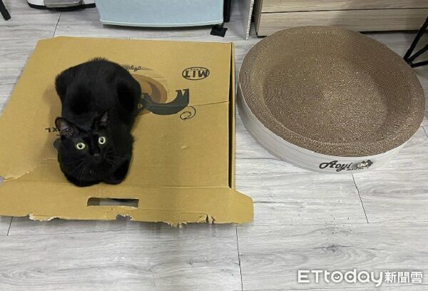 ▲。(圖/Threads@tantanji_black提供,請勿隨意翻拍,以免侵權。)