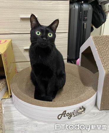 ▲。(圖/Threads@tantanji_black提供,請勿隨意翻拍,以免侵權。)