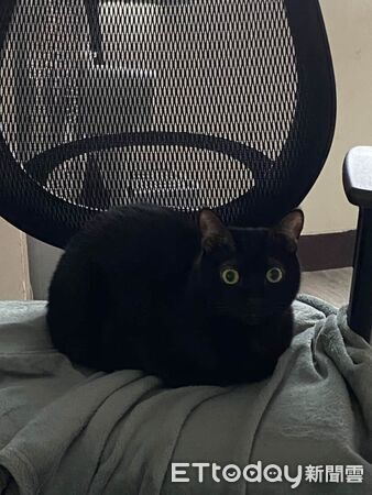 ▲。(圖/Threads@tantanji_black提供,請勿隨意翻拍,以免侵權。)