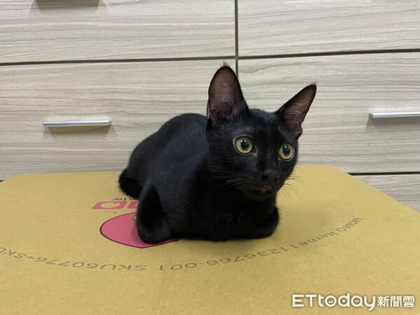 ▲。(圖/Threads@tantanji_black提供,請勿隨意翻拍,以免侵權。)