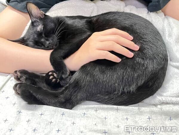 ▲。(圖/Threads@tantanji_black提供,請勿隨意翻拍,以免侵權。)