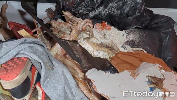 ▲▼自小貨車國道遭追撞側翻,車上生魷魚散落路面阻塞2個車道。(圖/民眾提供,下同)