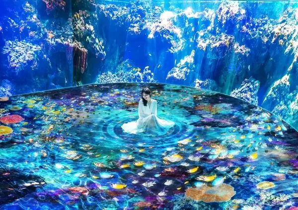 ▲▼桃園Xpark水族館。(圖/KKday提供)