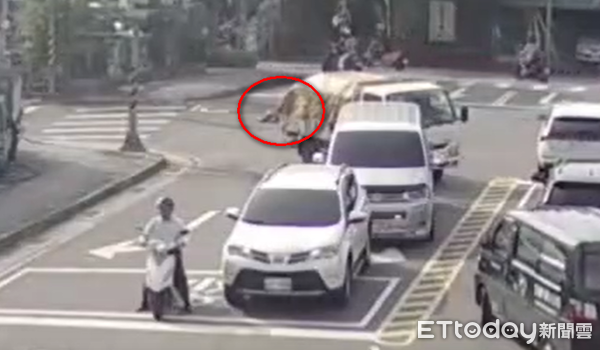 ▲汽車未注意交通號誌從後方追撞騎士,拖行15公尺後才停下。(圖/記者陳以昇翻攝)