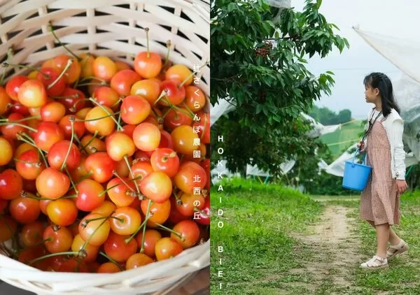 ▲▼辻さくらんぼ農園(辻櫻桃農場)。(圖/部落客飛天璇的口袋授權提供)