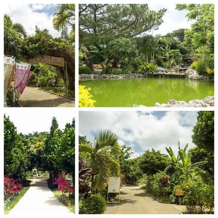 ▲▼星宇航空直飛宮古島啦,Top 6 宮古島景點推薦。(圖/ReadyGo提供)