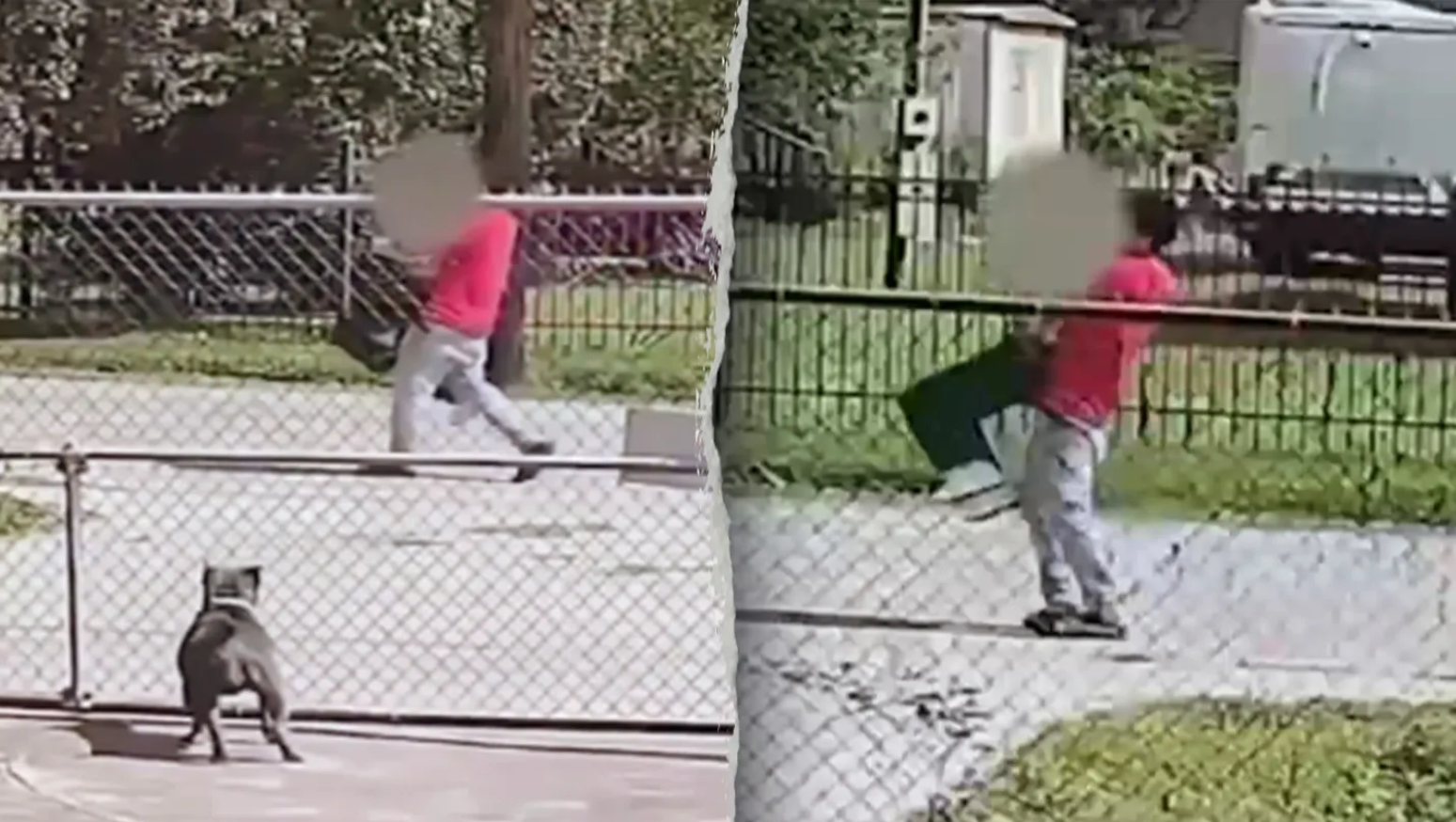 ▲▼她遭「美國非法移民」囚禁淪性奴!當街熊抱綁架 恐怖畫面曝。(圖/翻攝自X)