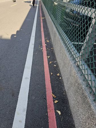 ▲台南市仁德區有民眾被檢舉指控長期在路邊潑撒食物、廚餘,餵養流浪狗及招來鳥類,除造成環境髒亂外,也引發流浪狗群追人、鳥糞及老鼠、蟑螂聚集等環境污染、病媒傳播問題。(民眾提供,下同)