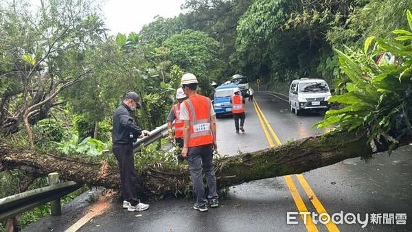 ▲▼ 北宜公路67.8公里處樹木倒塌。(圖/民眾提供,下同)
