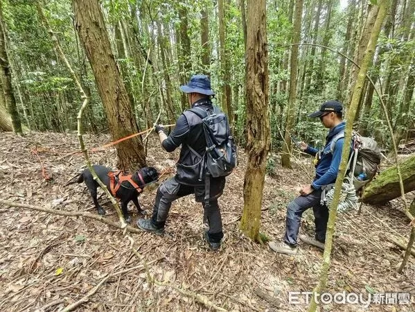 ▲▼ 。(圖/記者李陳信得攝)