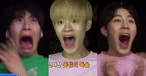 ▲▼最有趣的選秀。(圖/翻攝自theqoo)