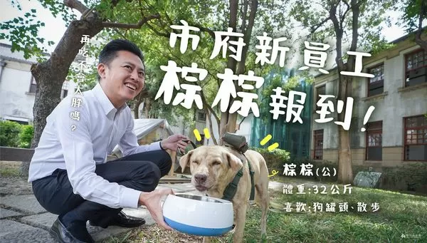 ▲▼林智堅「市犬棕棕」爆被棄養 高虹安證實:前市府送回動保所。(圖/翻攝林智堅臉書)