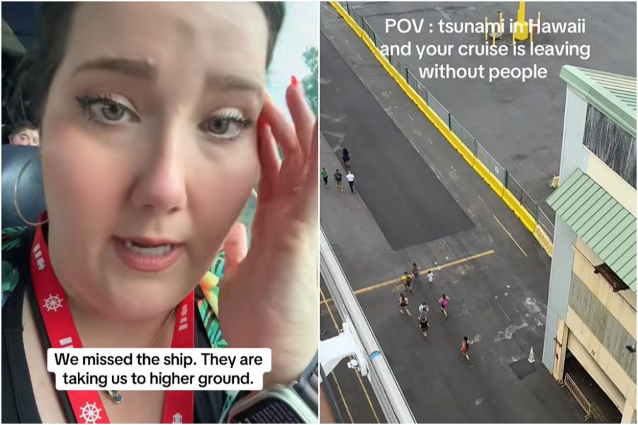 ▲▼ 。(圖/翻攝自TikTok)