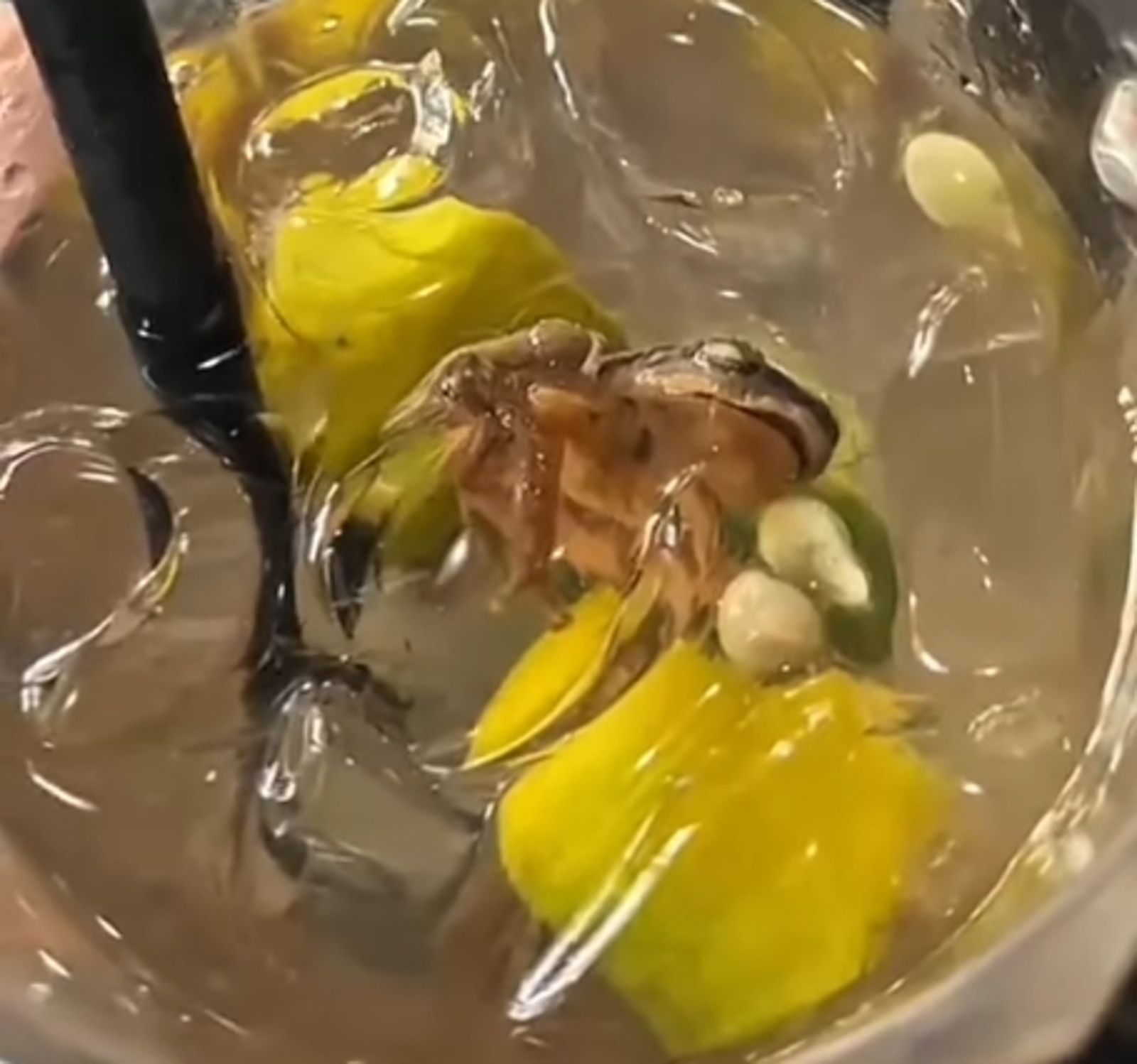 扯!「蛙溺斃在酸梅冰裡」她喝了1/4才發現 網看傻:青檸升級成青蛙