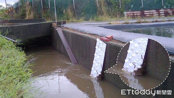 ▲嘉義分署設定3D列印動物爬梯,成功記錄草花蛇使用通道畫面。(記者林東良翻攝,下同)