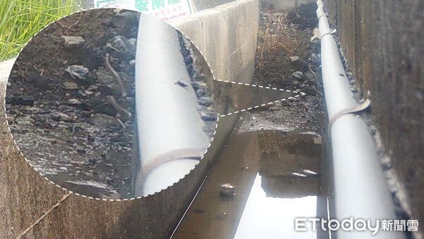 ▲嘉義分署設定3D列印動物爬梯,成功記錄草花蛇使用通道畫面。(記者林東良翻攝,下同)