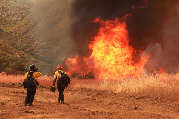 ▲▼2025年8月初,美國加州中南部的「洛斯帕德里斯國家森林」(Los Padres Forest)發生吉福德大火(Gifford Fire)。(圖/路透)