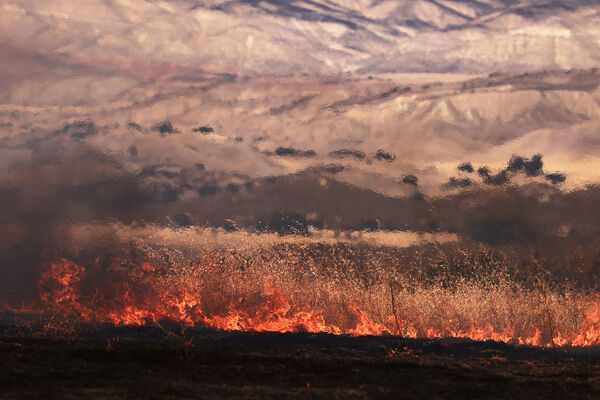 ▲▼2025年8月初,美國加州中南部的「洛斯帕德里斯國家森林」(Los Padres Forest)發生吉福德大火(Gifford Fire)。(圖/路透)