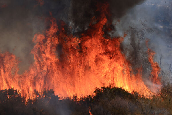 ▲▼2025年8月初,美國加州中南部的「洛斯帕德里斯國家森林」(Los Padres Forest)發生吉福德大火(Gifford Fire)。(圖/路透)