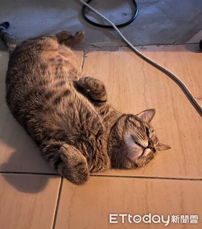 ▲。(圖/Threads@kobayashi_2020提供,請勿隨意翻拍,以免侵權。)