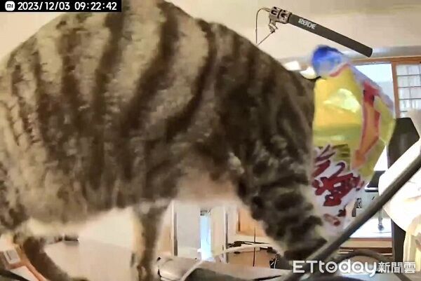 ▲。(圖/Threads@kobayashi_2020提供,請勿隨意翻拍,以免侵權。)