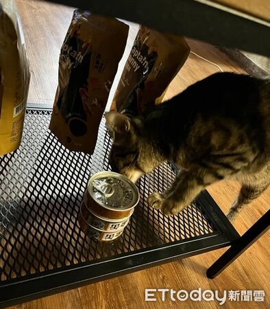 ▲。(圖/Threads@kobayashi_2020提供,請勿隨意翻拍,以免侵權。)