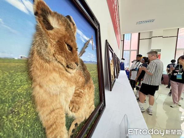 ▲▼「草原之約 青春交響」兩岸青年藝術交流營,參訪察右後旗文化館展出的察哈爾毛繡。(圖/記者陳冠宇攝)