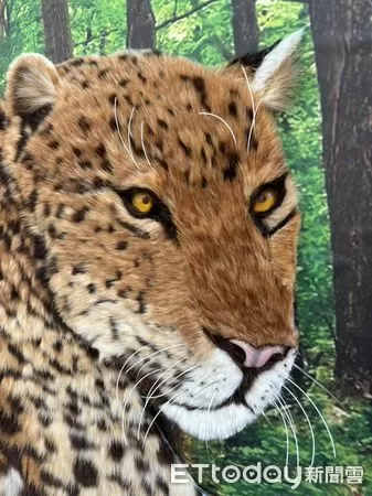 ▲▼「草原之約 青春交響」兩岸青年藝術交流營,參訪察右後旗文化館展出的察哈爾毛繡。(圖/記者陳冠宇攝)