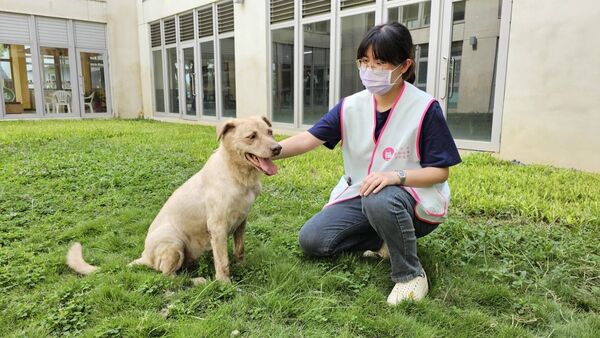 棕棕(圖/翻攝自臉書新竹市北區劉康彥(小白)、新竹市政府提供)