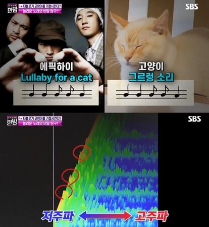 ▲▼TABLO。(圖/翻攝自X/EPIKHIGH_RECORD)