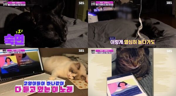 ▲▼TABLO。(圖/翻攝自X/EPIKHIGH_RECORD)