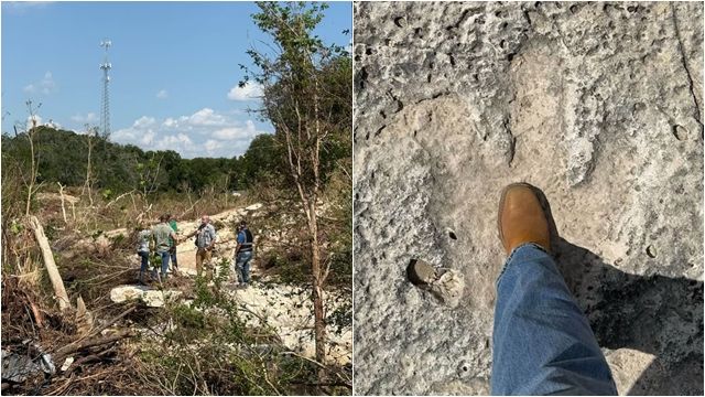 ▲▼世紀洪水沖出「一排恐龍足跡」 1.5億年前經過德州 。(圖/翻攝翻攝查維斯郡)