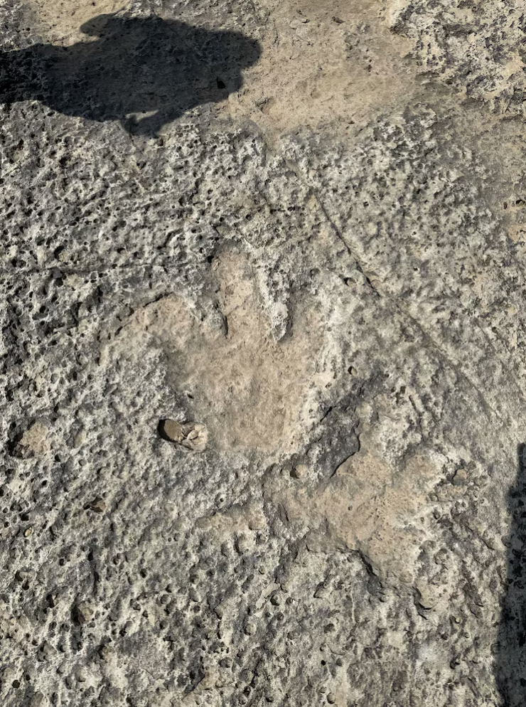 ▲▼世紀洪水沖出「一排恐龍足跡」 1.5億年前經過德州 。(圖/翻攝翻攝查維斯郡)