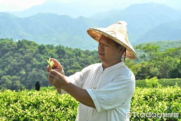 ▲【匠心茶──揉茶手作體驗】與南投昱香園有機茶園合作,由園主賴昱維親自教學揉捻茶菁。。(圖/中台世界博物館提供,下同)