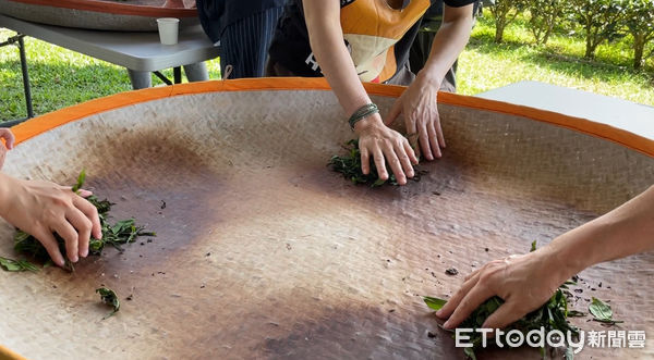 ▲中台世界博物館館慶免費入館6日,茶文化體驗、蔬食市集8/23登場。(圖/中台世界博物館提供)