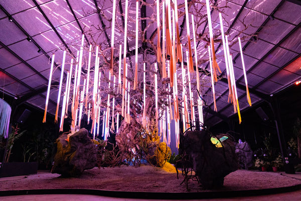 ▲自然圈農場《SensWave 波感溫室》即日起至10月31日試營運。(圖/自然圈農場提供)