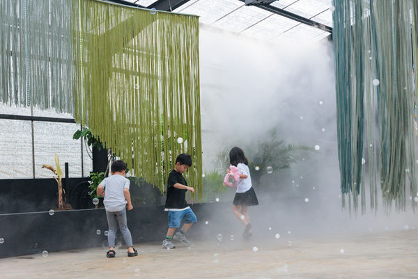 ▲自然圈農場《SensWave 波感溫室》即日起至10月31日試營運。(圖/自然圈農場提供)