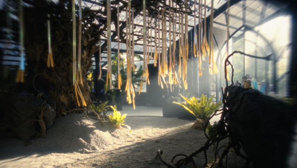 ▲自然圈農場《SensWave 波感溫室》即日起至10月31日試營運。(圖/自然圈農場提供)