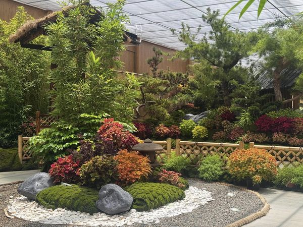 ▲花露農場欣賞鳳羽彩葉展。(圖/翻攝自Facebook/花露農場)