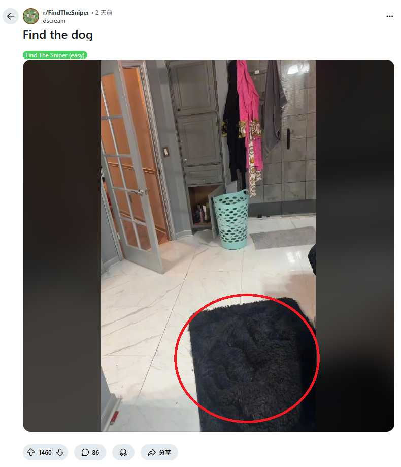 7秒內找出隱藏的狗才算高手!網路瘋傳視覺挑戰 難度讓不少網友直呼「太難了」