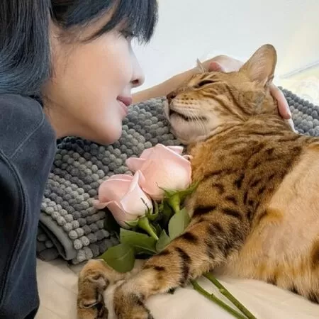 ▲周慧敏痛失愛貓。(圖/翻攝自周慧敏IG)