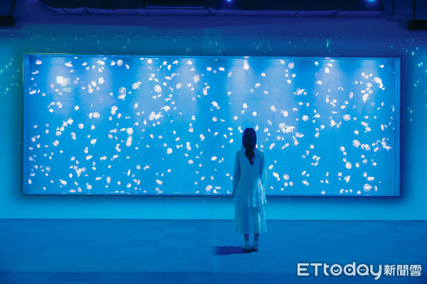 ▲台中海洋館。(圖/台中海洋館提供)