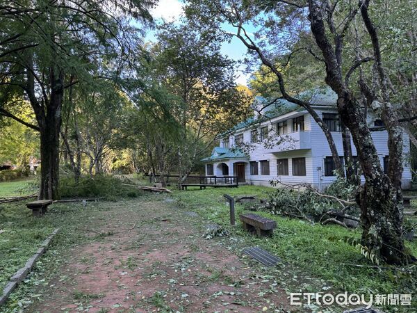 ▲合歡山、奧萬大森林遊樂區8月15日恢復開園。(圖/林業保育屬南投分署提供)