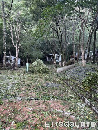 ▲合歡山、奧萬大森林遊樂區8月15日恢復開園。(圖/林業保育屬南投分署提供)