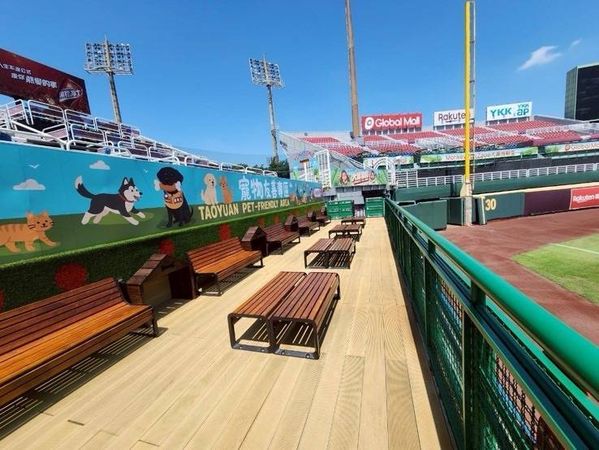 ▲桃園市動保處與中職樂天桃園合作打造全台首創「棒球場寵物樂園」,圖為2樓看台區。(圖/市府動保處提供)